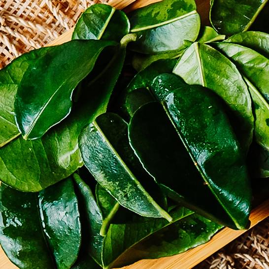 Makrut Lime Leaves